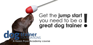 Dog Trainer Foundations