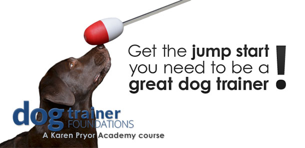 Dog Trainer Foundations Course