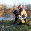 Dog Field Sports: How to Hunt Without Killing Anything