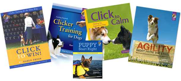 Dog Trainer Foundations Course