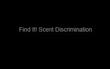 find-it-scent-discrimination