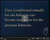 Cues for One Behavior Can Become Reinforcers for the Previous Behavior