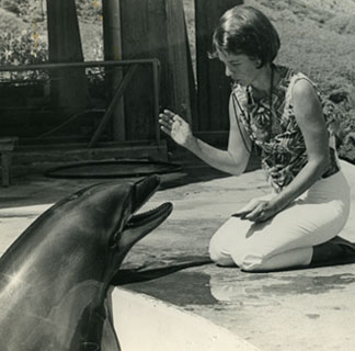 Karen Cueing Dolphin