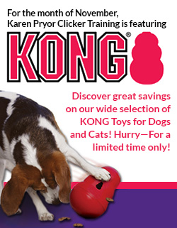 KONG Sale