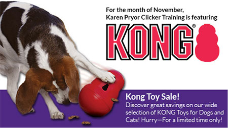 KONG Toy Sale