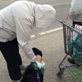 Hope AACR Pets Bring Smiles to Victims of Hurricane Sandy