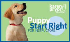 Puppy Start Right for Instructors