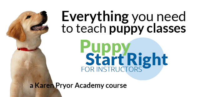 Puppy Start Right for Instructors