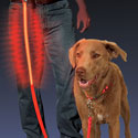 Nite Dawg LED Light-Up Dog Leash