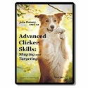 advanced-clicker-skills-shaping-and-targeting