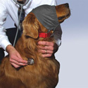 Calming Cap by Thundershirt