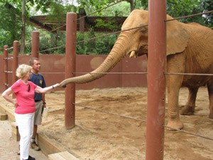 karen and elephant