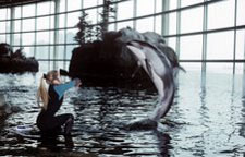 Laure Monaco Torelli dolphin training at shedd aquarium