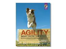 Excerpts from Agility Right from the Start