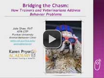 Bridging the Chasm: How Trainers & Vets Address Behavior Problems