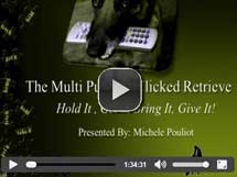 Hold It, Get it, Bring It, Give It!: The Multi-Purpose Clicked Retrieve