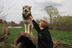 Karen Pryor posing with a wolf on cue