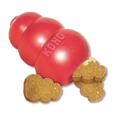 Kongs are a great way to keep your dog busy and happy.