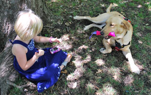 Charlie, a diabetic alert dog, alerting Lily to test her blood sugar.