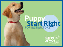 Puppy Start Right for Instructors Course