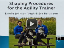 Shaping Procedures for the Agility Trainer
