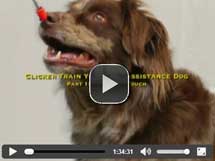 Clicker Train Your Own Assistance Dog