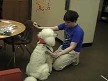 Therapy Dog Training: Becoming a Therapeutic Team