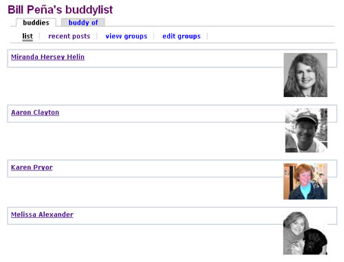 Buddylist detail