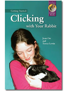 Rabbit book cover