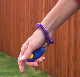 wrist coil clicker