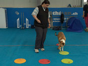 Sabine Winkler with her dog Jamie, working at “going over targets arranged at a right angle”