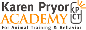 KP Academy Logo