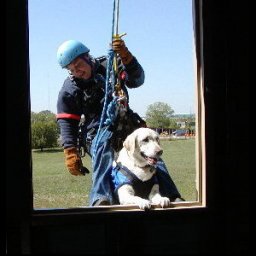 Aspen at the Window