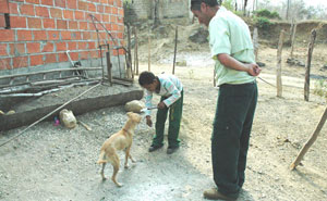 Target Training A Dog