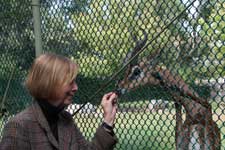 Karen delivering a grape to a giraffe-necked antelope