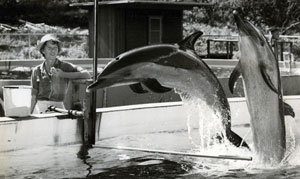 Karen and her first pupils preparing for Sea Life Park's first dolphin shows