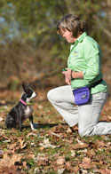 Dog Trainer and Boston Terrier