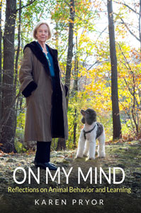 On My Mind Book Cover