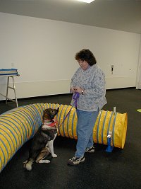 Dee Ganley, Upper Valley head trainer, clicks and treats a shelter dog for calmness and attention.
