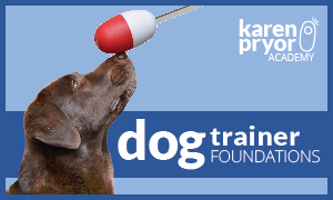 Dog Trainer Foundations