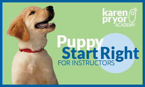 Puppy Start Right for Instructors