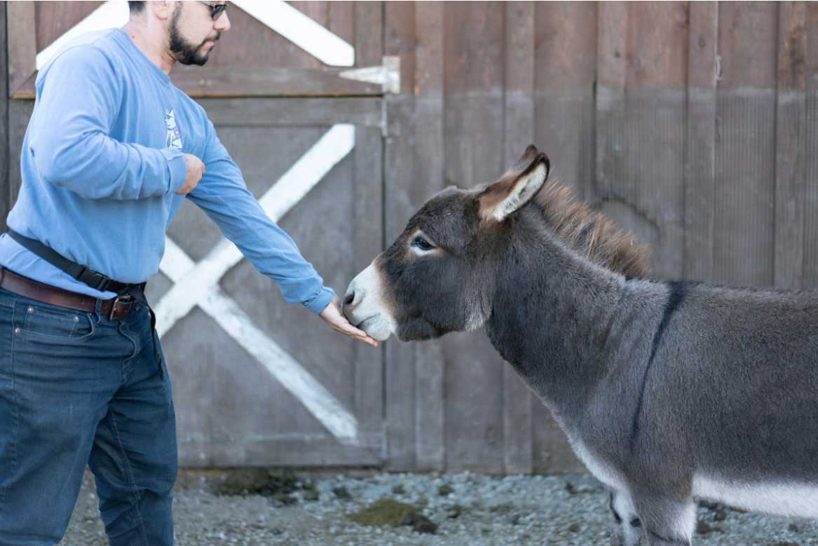 Training-Other-Species_Karen-Pryor-Clicker-Training